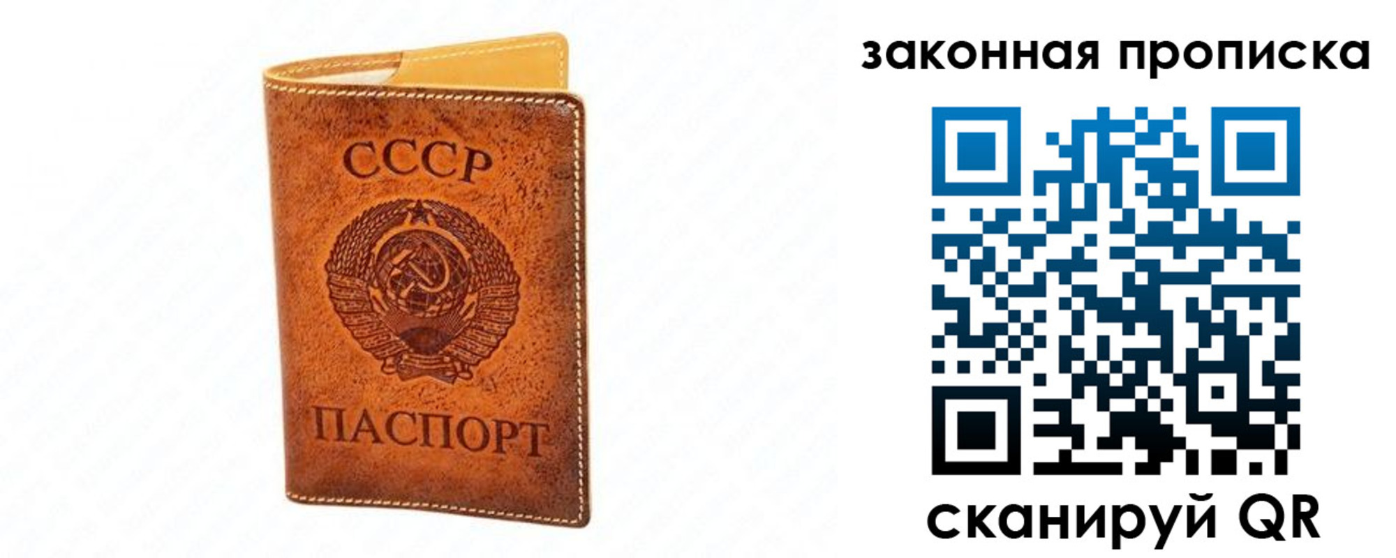 прописка в Кольчугино